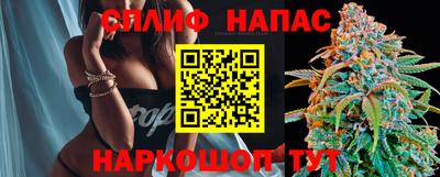 СК Шахты