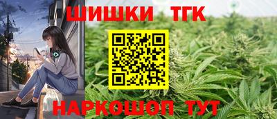 СК Шахты