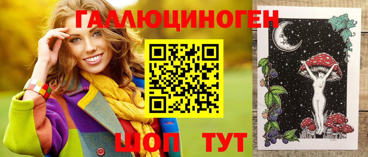 где купить наркоту  Псилоцибиновые грибы MAGIC MUSHROOMS  Вход с VPN  Бердск 