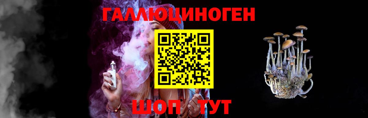 Галлюциногенные грибы Psilocybine cubensis Бердск